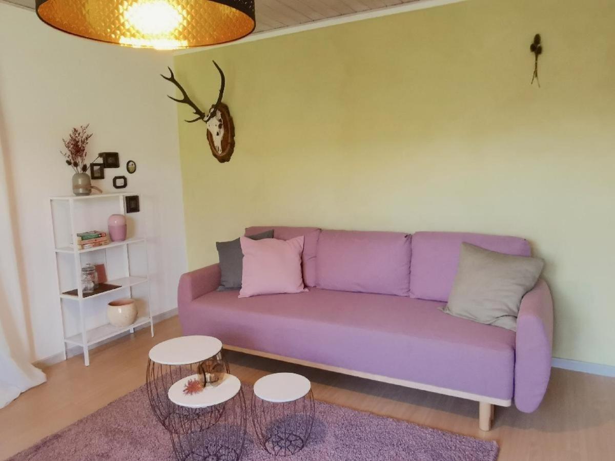 Ferienwohnung Schaefer Mit Direktem Zugang Zum Garten Windberg المظهر الخارجي الصورة